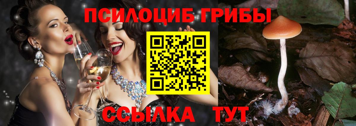 Галлюциногенные грибы GOLDEN TEACHER  Галлюциногенные грибы GOLDEN TEACHER  Вход с VPN  Реж 